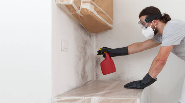 Professional Hvac And Air Duct Mold Remediation technician working in Central Lake, MI